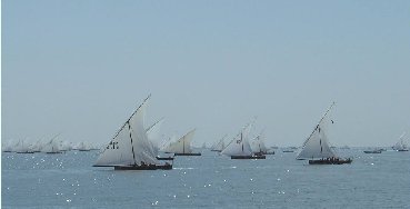 百舸爭流，不進則退，未雨綢繆才能贏發展